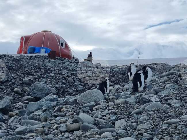 Ден 50 - НИК 421- остров Ливингстън - пристигане