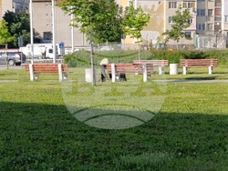 Снимка: Община Шумен