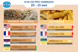 Цени на основните зърнени стоки по световните борси и Софийската стокова борса през седмицата 20-23 май