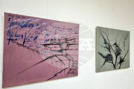 Перник - "Възприятие и слово" - изложба