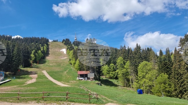 Община Смолян отмени забраната за движение на автомобили до кулата "Снежанка"