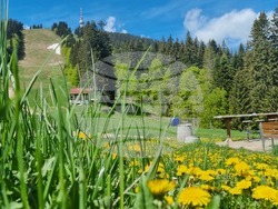 Пампорово - летен сезон