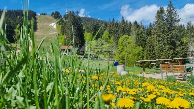 Good Mountain Hiking Conditions on Sunday Morning
