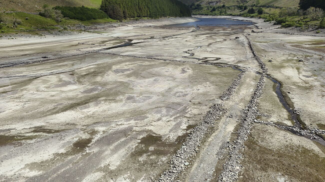 Поредицата от сушави години е оказала сериозен натиск върху хабитатите, съобщават от Националния тръст на Великобритания
