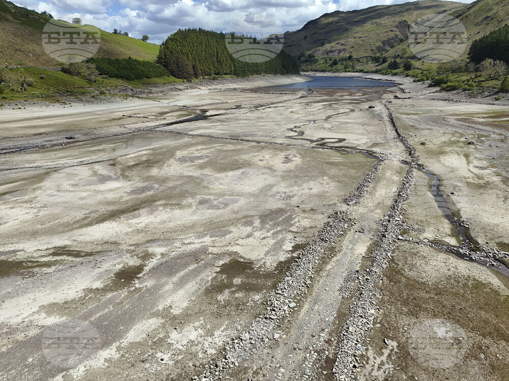 Поредицата от сушави години е оказала сериозен натиск върху хабитатите, съобщават от Националния тръст на Великобритания