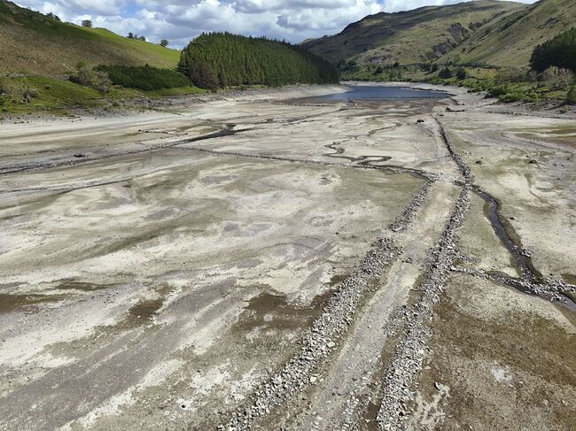 Поредицата от сушави години е оказала сериозен натиск върху хабитатите, съобщават от Националния тръст на Великобритания
