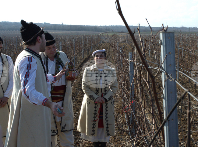 Ново село - Трифон Зарезан - празник на общината