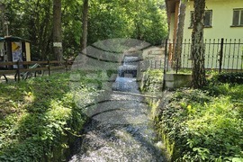 Ловеч - парк „Стратеш” - алея „Баш бунар” - изглед