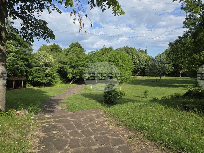 Българки, които живеят и творят в чужбина, ще участват утре в събитие „Цветни музи“ в Ловеч