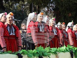 Снимка: Капански ансамбъл – Разград - Капанският ансамбъл на Трифон Зарезан в Лясковец