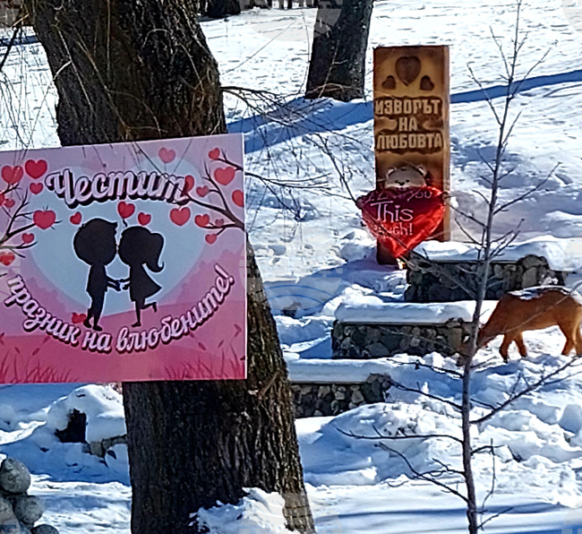 Село Говедарци - Ден на влюбените
