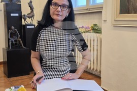 Плевен - Силвия Златкова - книга