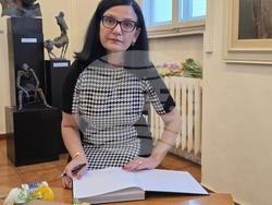 Плевен - Силвия Златкова - книга