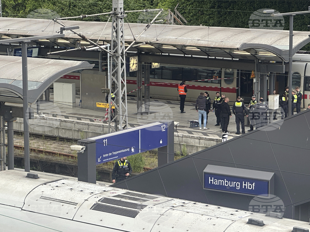 Germany Station Stabbing
