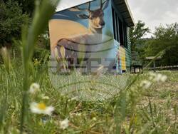 Снимка: Община Момчилград