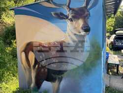 Снимка: Община Момчилград