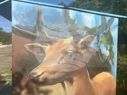 Снимка: Община Момчилград