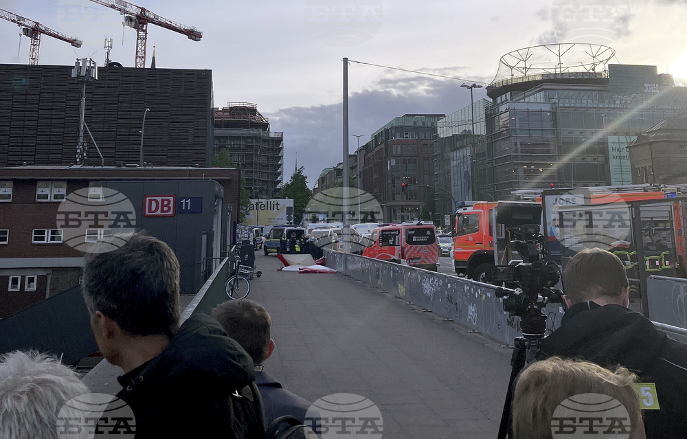 Germany Station Stabbing