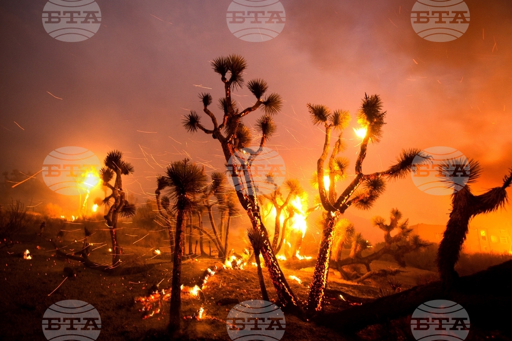 California Wildfire Utility Settlement