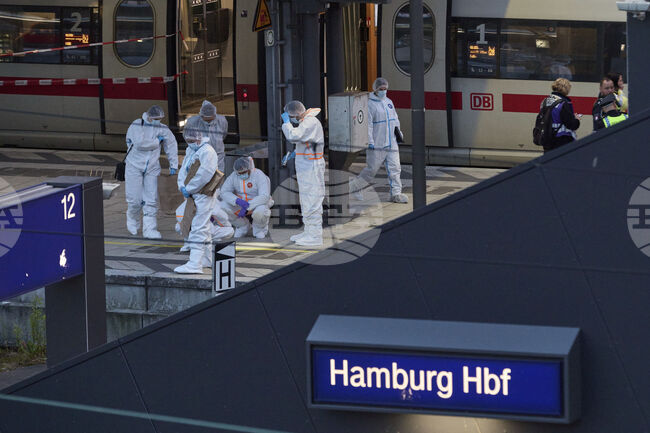 Заподозряната за нападението с нож на централната гара в Хамбург е признала деянието пред германски съдия, каза говорителка
