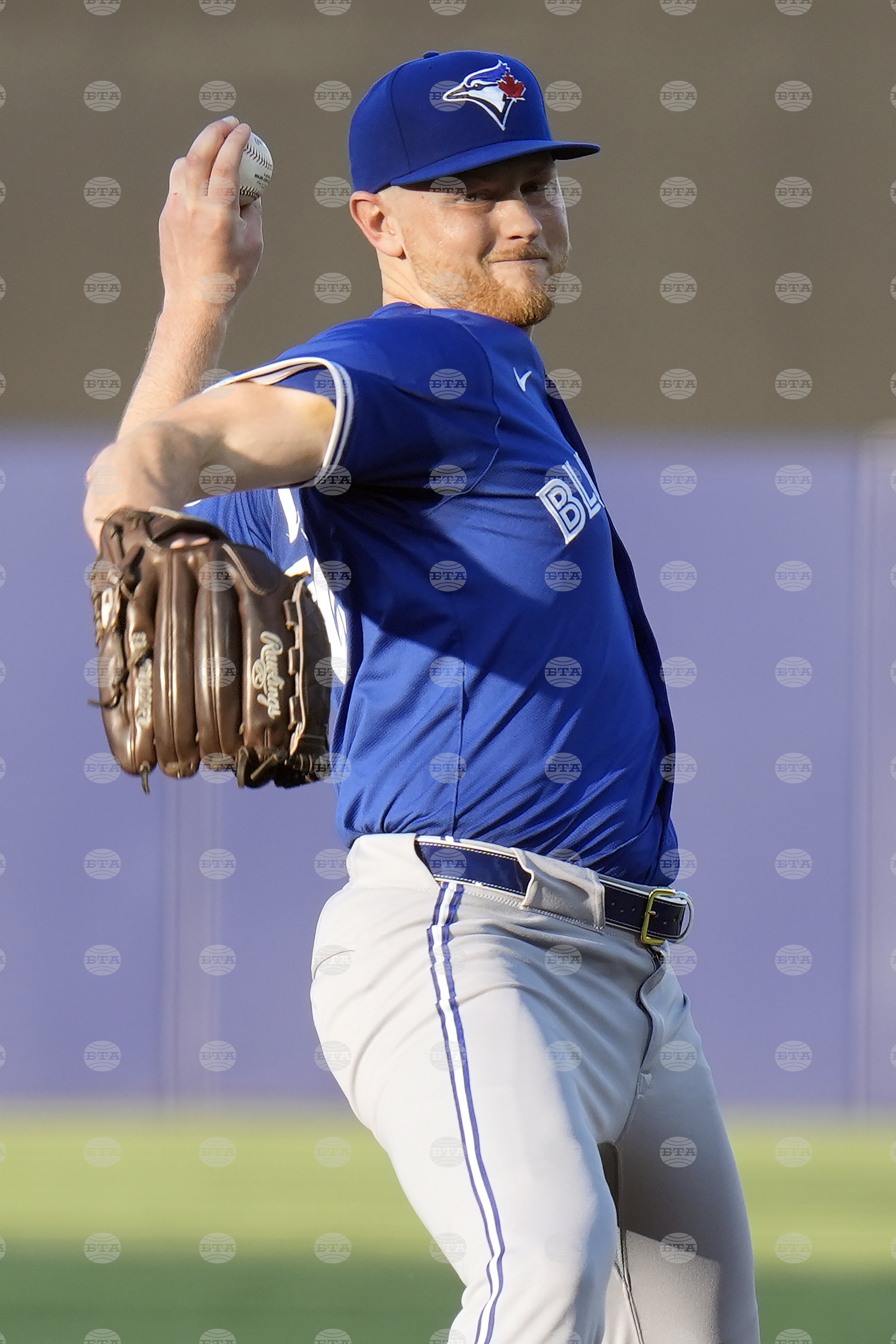 Blue Jays Rays Baseball