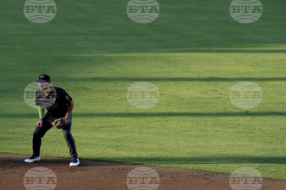 Blue Jays Rays Baseball