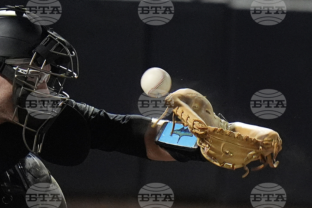 Blue Jays Rays Baseball