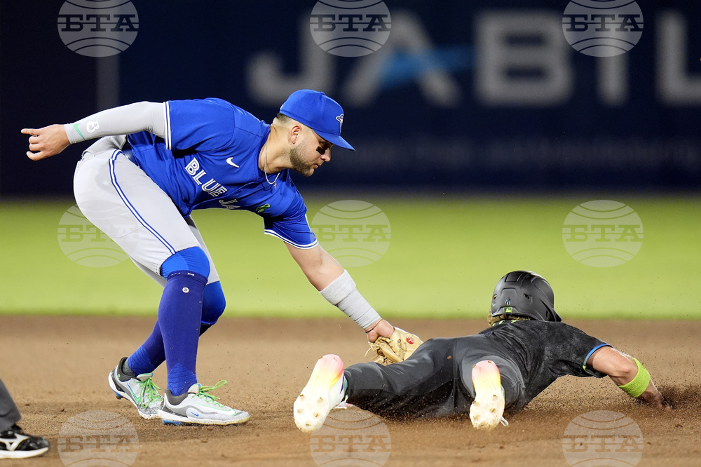 Blue Jays Rays Baseball