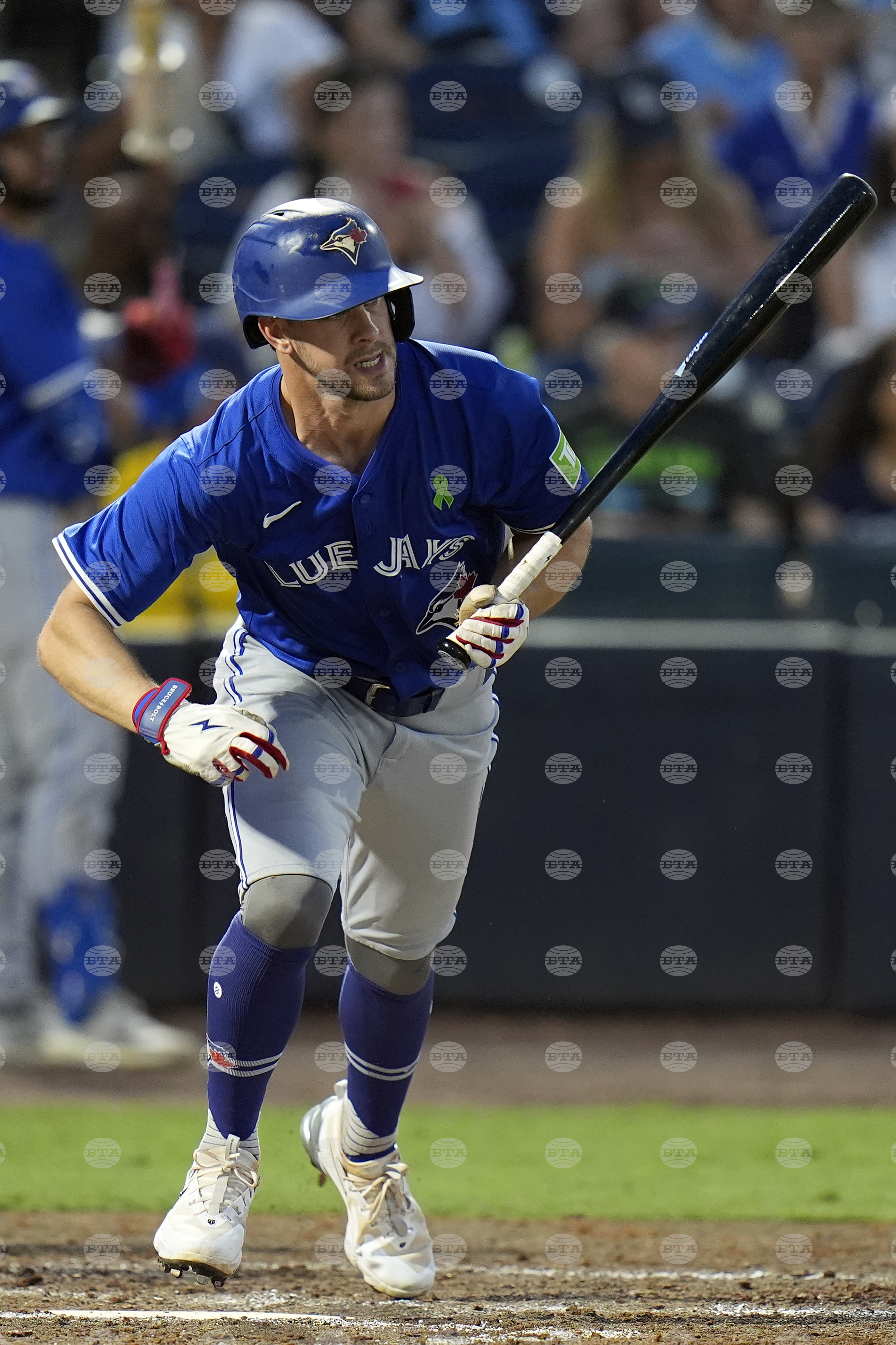 Blue Jays Rays Baseball