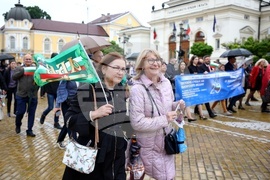 БТА - Двадесета Световна среща на българските медии - 24 май - тържествено шествие