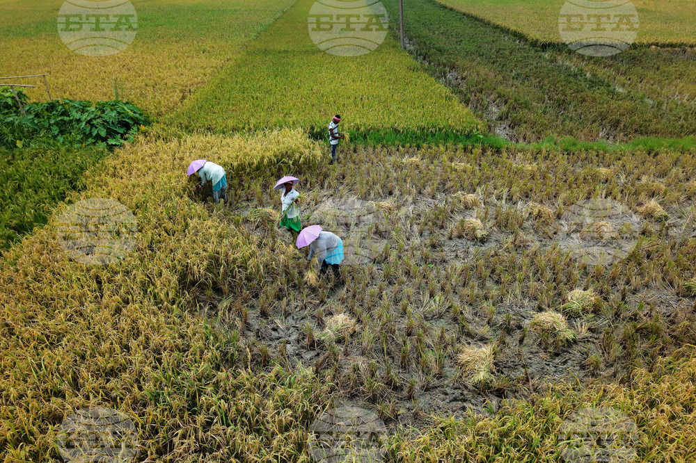 India Daily Life
