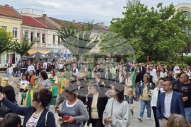 Видин - 24 май - честване