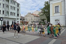Видин - 24 май - честване