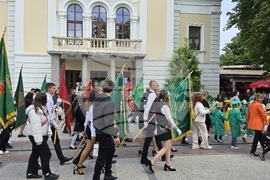 Видин - 24 май - честване