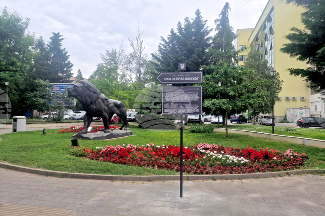  Пазарджик - проф. Величко Минеков - алея