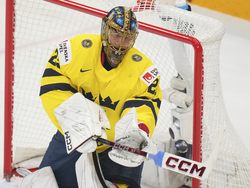 Sweden Hockey Worlds