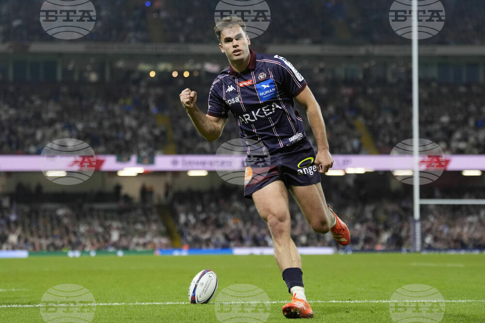 Wales Rugby European Champions Cup