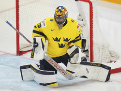 Sweden Hockey Worlds