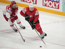 Sweden Hockey Worlds