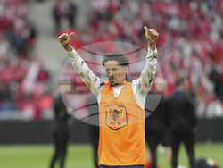 France Soccer French Cup Final