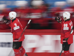 Sweden Hockey Worlds
