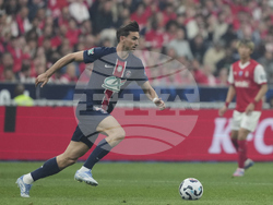 France Soccer French Cup Final