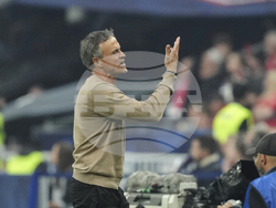 France Soccer French Cup Final