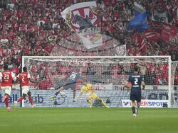 France Soccer French Cup Final