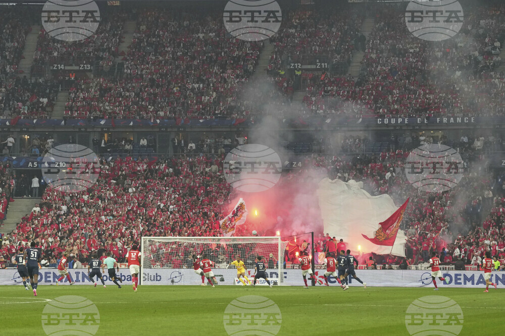 France Soccer French Cup Final