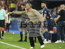 France Soccer French Cup Final