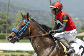 Santa Anita Horse Racing
