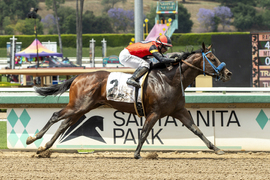 Santa Anita Horse Racing