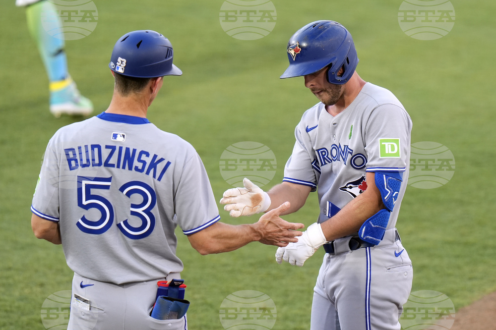 Blue Jays Rays Baseball