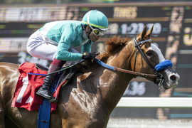 Santa Anita Horse Racing